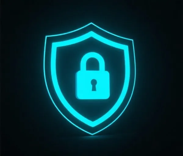 Security Verification